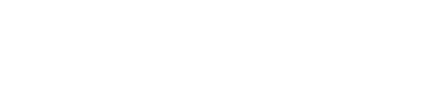 I. Municipalidad de San Felipe